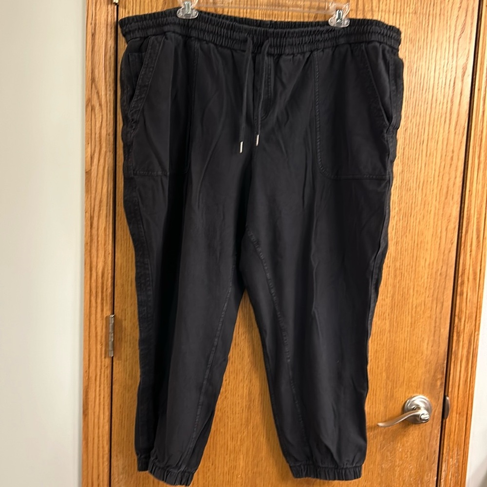 Fallon jogger